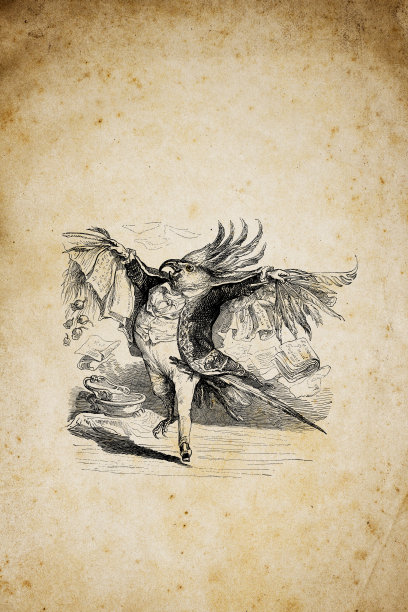 人性化的动物插图:疯狂的鸟图片下载