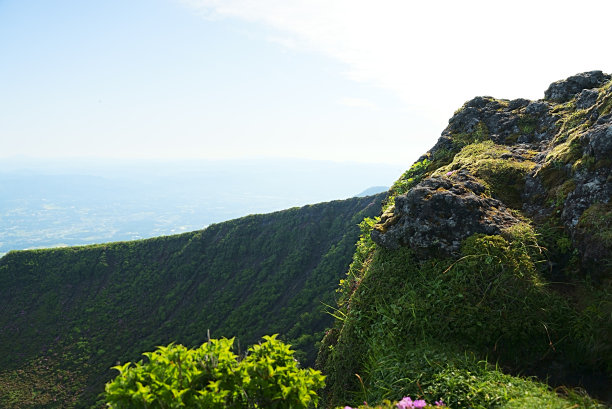 在火山口生长的生命力很强的植物图片下载