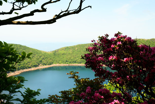 宫山雾岛盛开的小南池风景图片下载