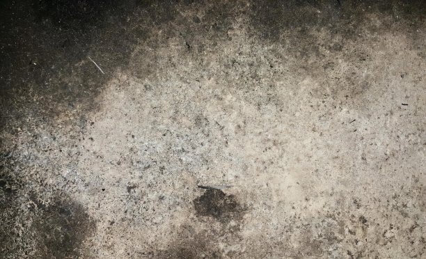 一幅画着一只鸟的脏墙的照片，在脏的地方，水的泡泡散落在地上。图片下载