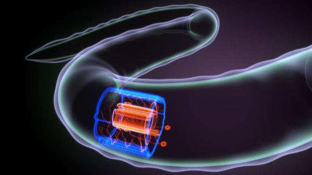 蚯蚓解剖的3d插图图片下载