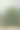 一种特殊的绿色仙人掌图片下载