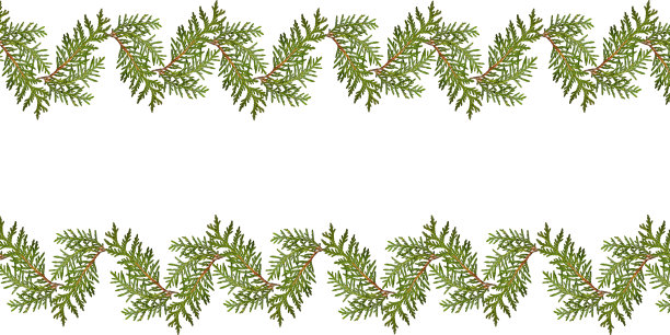 植物图案，白色背景上的绿色土树树枝的边界。图片下载