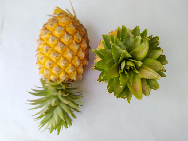 菠萝水果图片下载