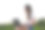 一位女性自由职业者正在工作飞机上使用笔记本电脑工作。这张照片质量很好。图片下载