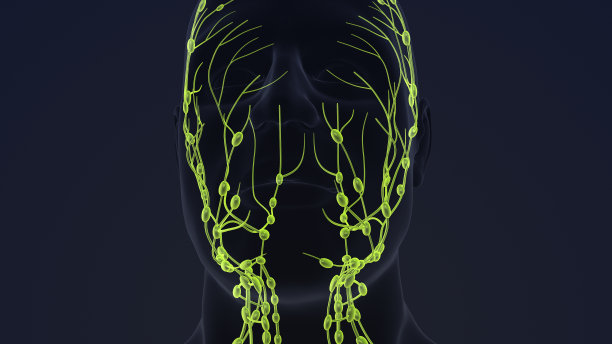 人类淋巴系统3D动画图片下载