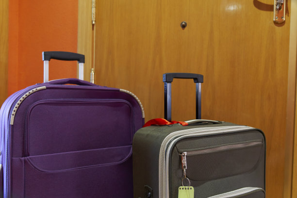 房子门口的手提箱特写图片下载