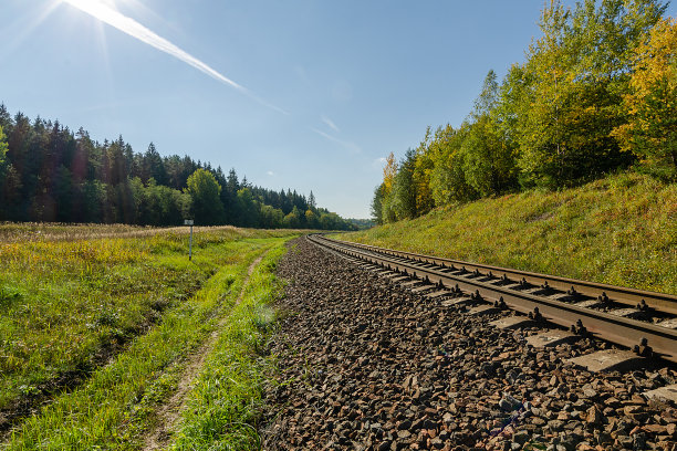 铁路在秋天的森林白天图片下载