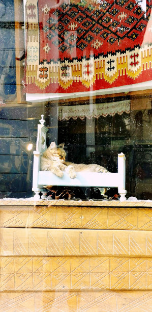 古董商店图片下载