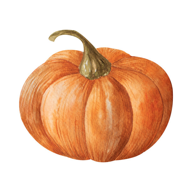 水彩橙色南瓜插图孤立在白色背景。水彩股票图像。用于季节卡片，图案，贴纸，衣服，礼品，化妆品和药品的设计图片下载