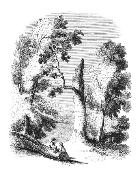 教皇在伯克郡宾菲尔德的树(英格兰)-复古雕刻插图图片下载