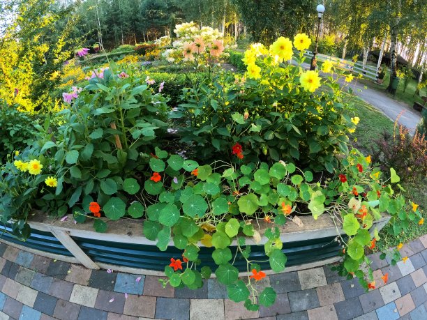 花丛山水花园花坛晚霞图片下载