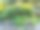 花丛山水花园花坛晚霞图片下载