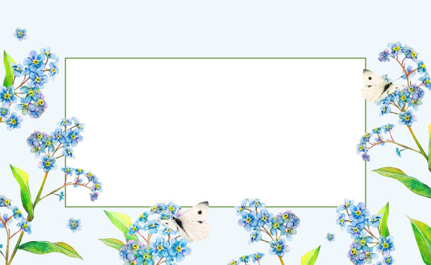 田野勿忘我水彩矩形框架水平从精致的花朵和蝴蝶手绘在浅蓝色的背景。草地野花供题词、祝贺、请柬、卡片。设计花卉插画图片下载