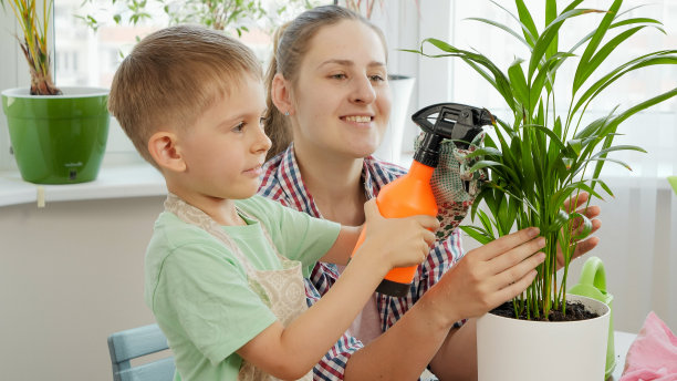 小男孩帮妈妈在花盆里给家里的花草浇水的照片。图片下载