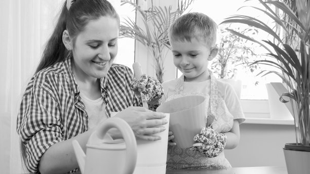 小男孩在客厅里帮妈妈种花的黑白照片图片下载