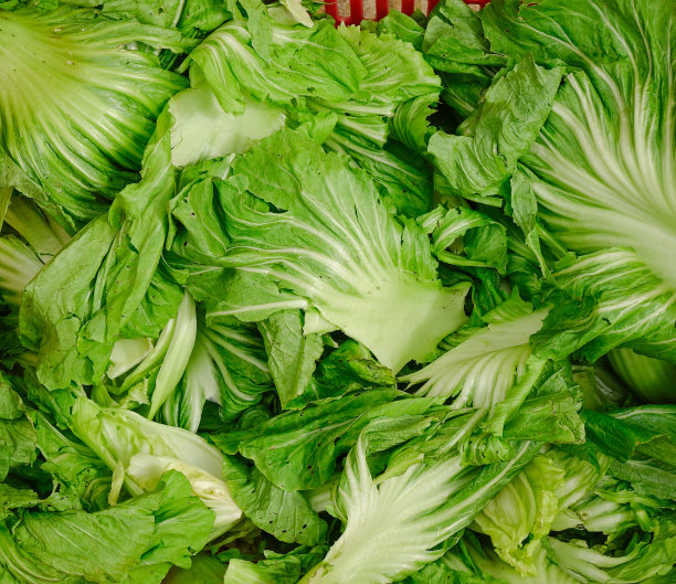 新鲜蔬菜健康生食图片下载