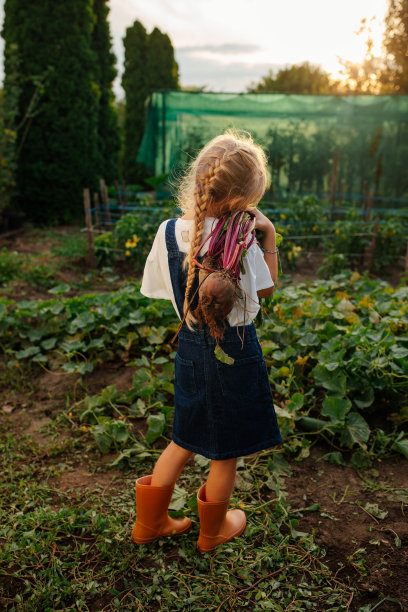 小女孩拿着她的甜菜，看着爷爷花园里的其他蔬菜图片下载