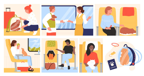 乘客带着宠物乘飞机旅行，飞机上宠物主人坐在座位上的场景图片下载