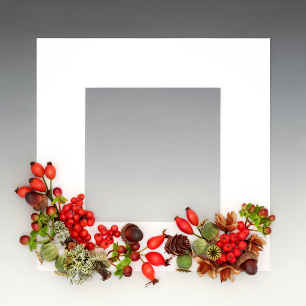 秋天自然丰收节日背景框架图片下载