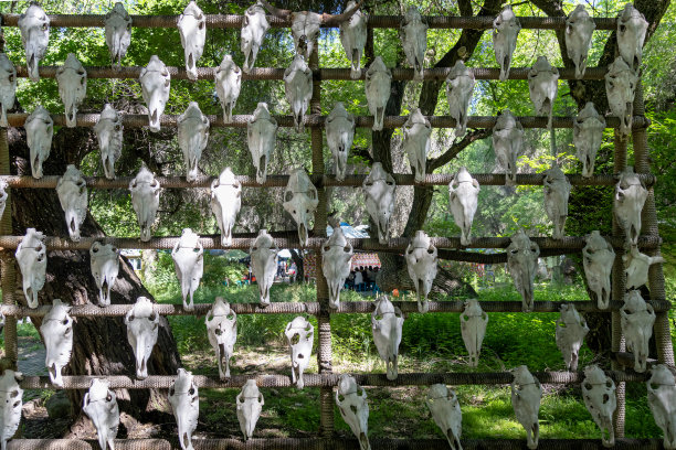 悬挂的马头图片下载