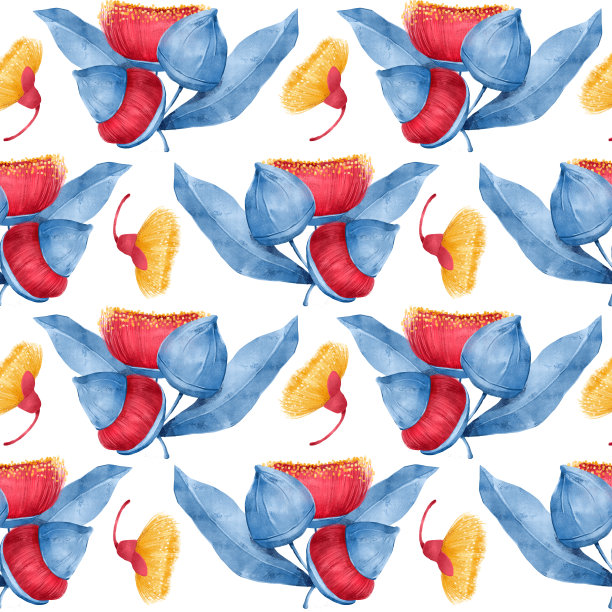 澳大利亚桉树红色的花和叶子花纹无缝。热带树胶植物插图织物，墙纸，包装纸，剪贴簿，邀请卡。鲜艳的红色和蓝色图片下载