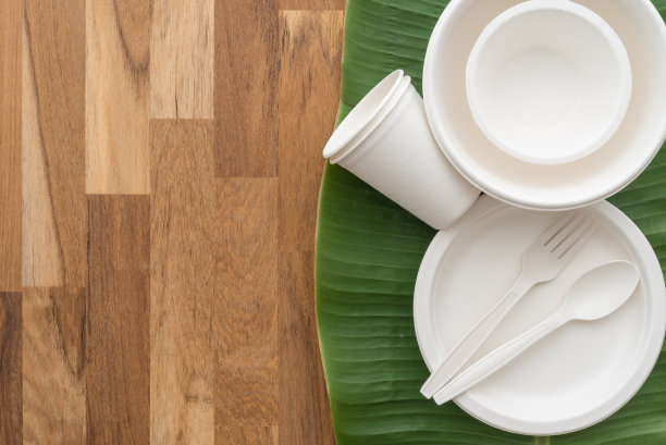 由甘蔗渣和竹子纤维制成的天然环保一次性餐具(叉子，勺子，盘子，碗和杯子)。图片下载