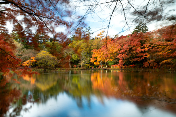 秋叶在湖中的倒影图片下载