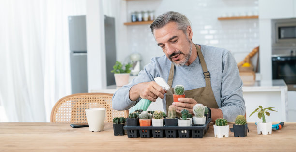 快乐的中小企业主的肖像，老年白人男子工作园艺仙人掌多汁。业余时间或休闲时间适合在家的成熟男人，创业的小企业主，退休的成熟农民图片下载