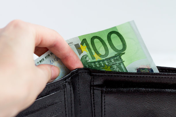 把钱放在钱包里。工资，养老金，服务费用，公用事业费用，付款。从钱包里拿钱。货币兑换。欧元货币。白底100欧元图片下载