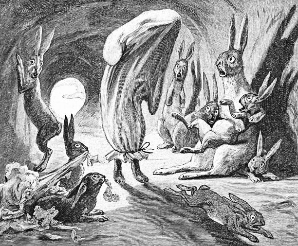 被捕获的兔子带着麻袋回到兔子洞，乞求他的家人释放他图片下载