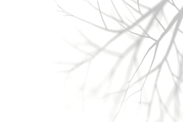 简单的灰色3D树阴影叠加图片下载