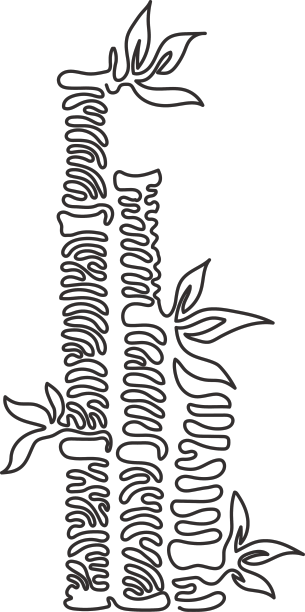 单线画竹子为图片下载