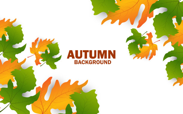 秋天的背景与五颜六色的树叶图片下载