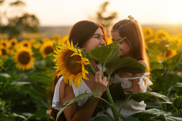 美丽的年轻妈妈在夕阳下的向日葵丛中拥抱着她的小女儿。母爱，快乐童年。图片下载