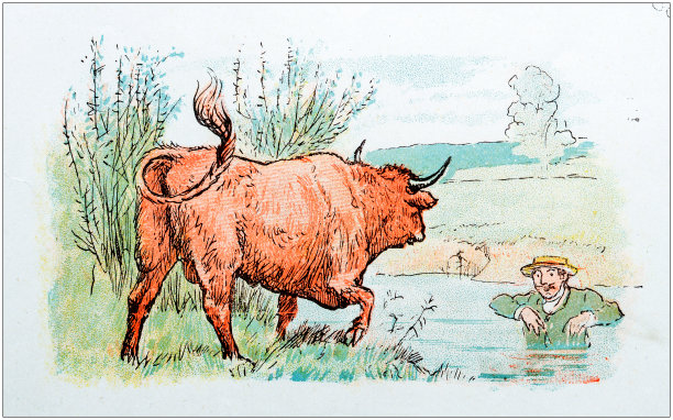 古董彩色插图Randolph Caldecott:人攻击公牛图片下载