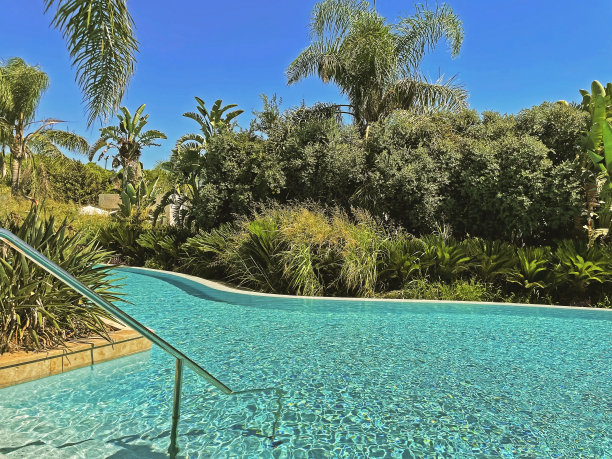 热带环境中的小水池。长长的水池四周环绕着棕榈树和其他热带植物。图片下载