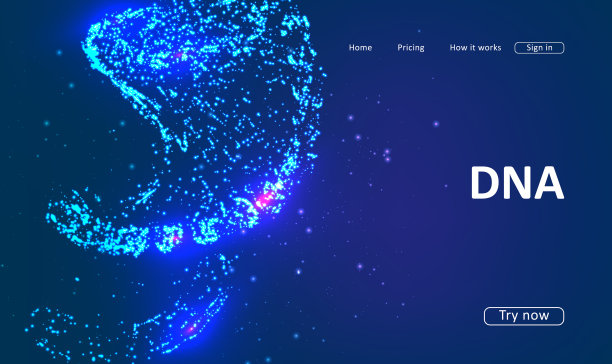 网站的登陆页面图片下载