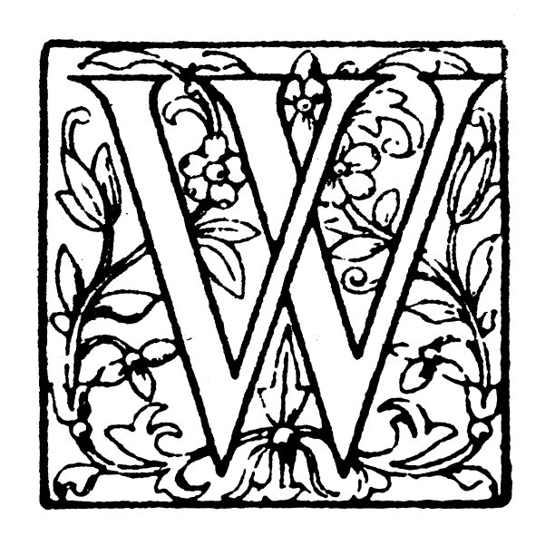 古董华丽的大写字母W图片下载