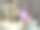 女孩用智能手机看卡通片图片下载