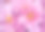 在加拿大拍摄的叶子、树、花和蘑菇的照片。图片下载