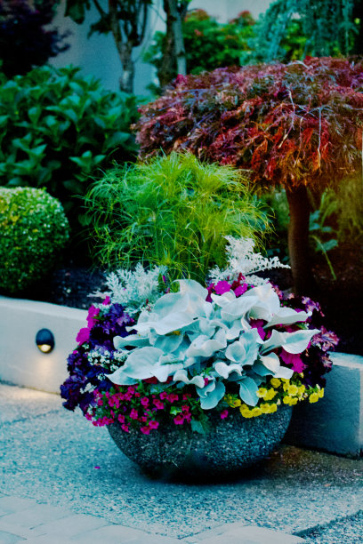 暴露集料混凝土花盆与花卉背景图片下载