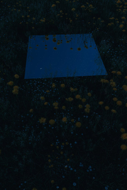 三维渲染的矩形镜面反射星空在夜间。被黄色的蒲公英包围。平铺自然风格概念图片下载