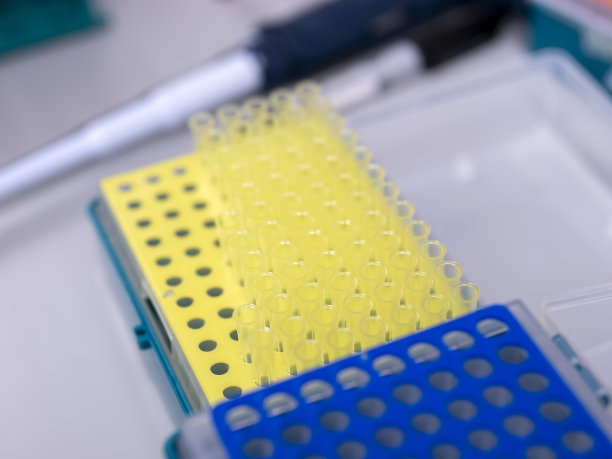 96孔微板和移液器图片下载