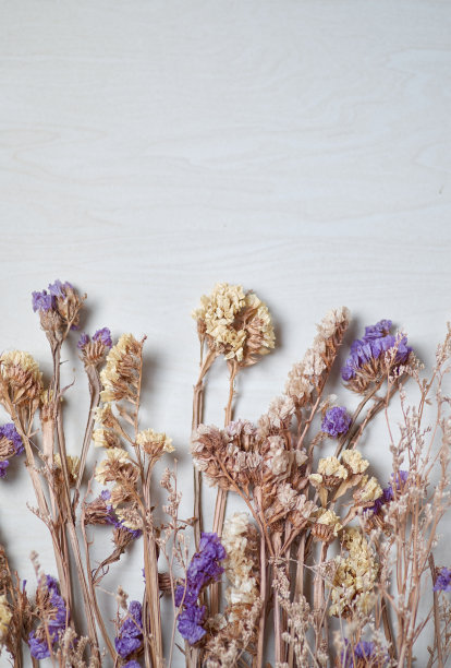 晾干大理石地板上的花朵图片下载