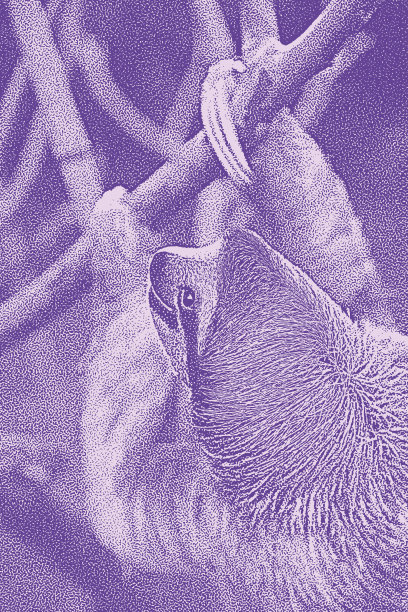 画一个快乐的树懒图片下载