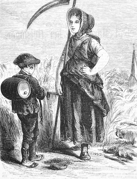 儿子背着酒桶，给母亲带了饮料到田里图片下载