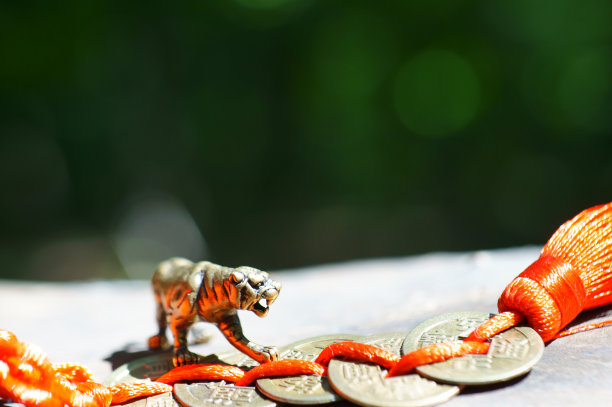 与中国硬币的老虎雕像的照片。图片下载