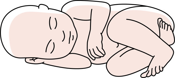 可爱的宝宝睡觉。新生儿剪纸艺术。胚胎，胎儿载体插图。新的宝贝线矢量艺术。图片下载