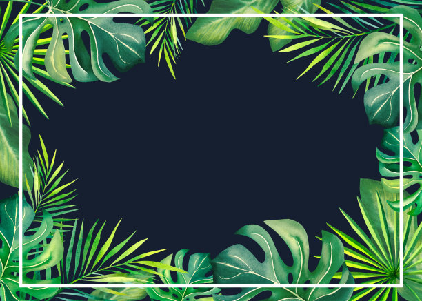 由热带植物制成的框架。山竹，棕榈枝，灯盏花，香蕉叶。巴西的狂欢节。水彩插图。图片下载